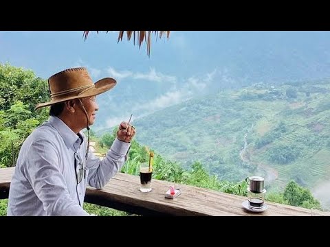 Chỉ vô tình mà thôi - Tuyết Mai