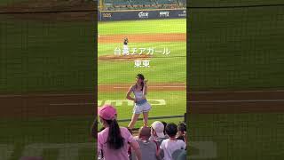 #台湾チア #東東　#taiwan #台湾プロ野球