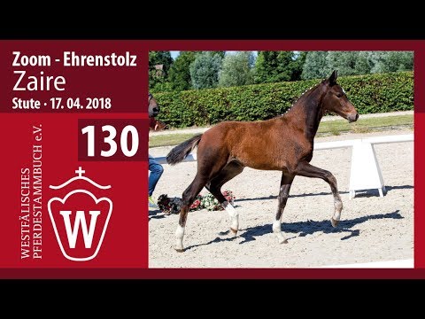 130 Zaira SF  v. Zoom - Ehrenstolz
