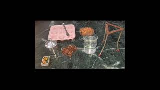 C.S.H.P Public School Video