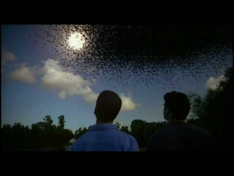 BLACK HOLE Destruccion de la Tierra