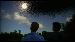 BLACK HOLE Destruccion de la Tierra