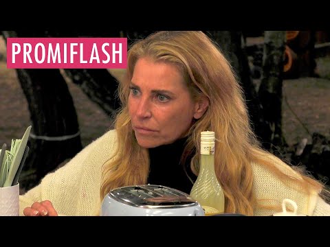 Video Thumbnail: Giulia Siegel leitet rechtliche Schritte gegen Cosimo ein