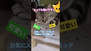 2026年7月31日