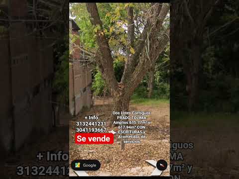 Venta Dos Lotes Contiguos PRADO TOLIMA Amplios 615.77m² y 617.94m² CON ESCRITURA-Acometidasservicios