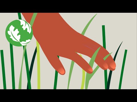 How does nature improve your health?