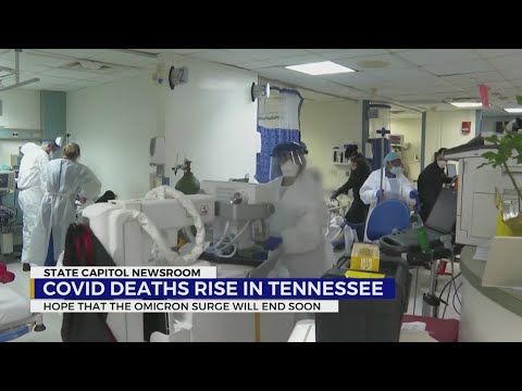 Tennessee among states leading in COVID-19 deaths and cases, but plateau could come soon