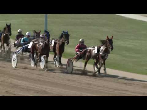 2017.04.08. 5. futam - DOLORES HENDIKEP