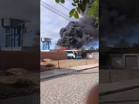 Ônibus da empresa Novo Horizonte pegou fogo, em Ibotirama Bahia (13/11).
