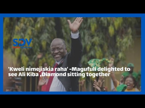 Magufuli delighted to see Ali Kiba and rival Diamond Platnumz sitting together at a state function
