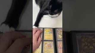 Pequena coleção #pokemon #pokemoncards #cartas #cartaspokemon #tarjetaspokemon