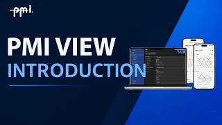 Introduction to PMI View