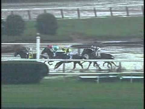 Empire Maker - 2003 Belmont Stakes