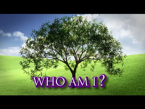 Who Am I? ‘The Real’ DNA Results