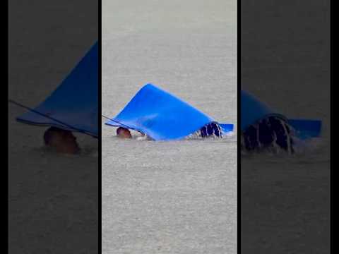 1:42 PM on the same day that the shark was spotted there at 2:06 PM