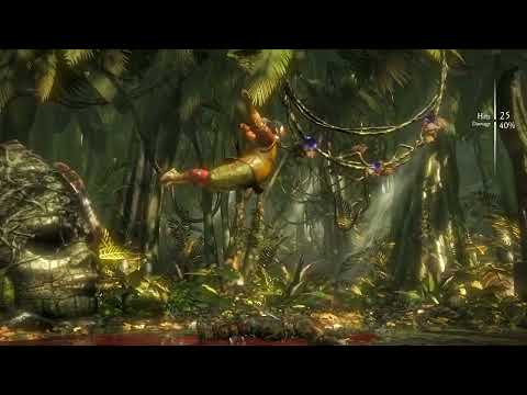 My BEST Drunken Master Bo Rai Cho Brutality Combo!