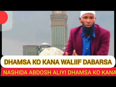 NASHIDA HARAWA ABDOSH ALIYI YARABI ☪️ ????   JABENYI KETUMA ☪️ ♥ #entertainment #2024 #ethiopia #1k