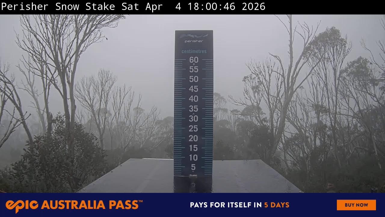 View full-screen Snow Stake Live Cam