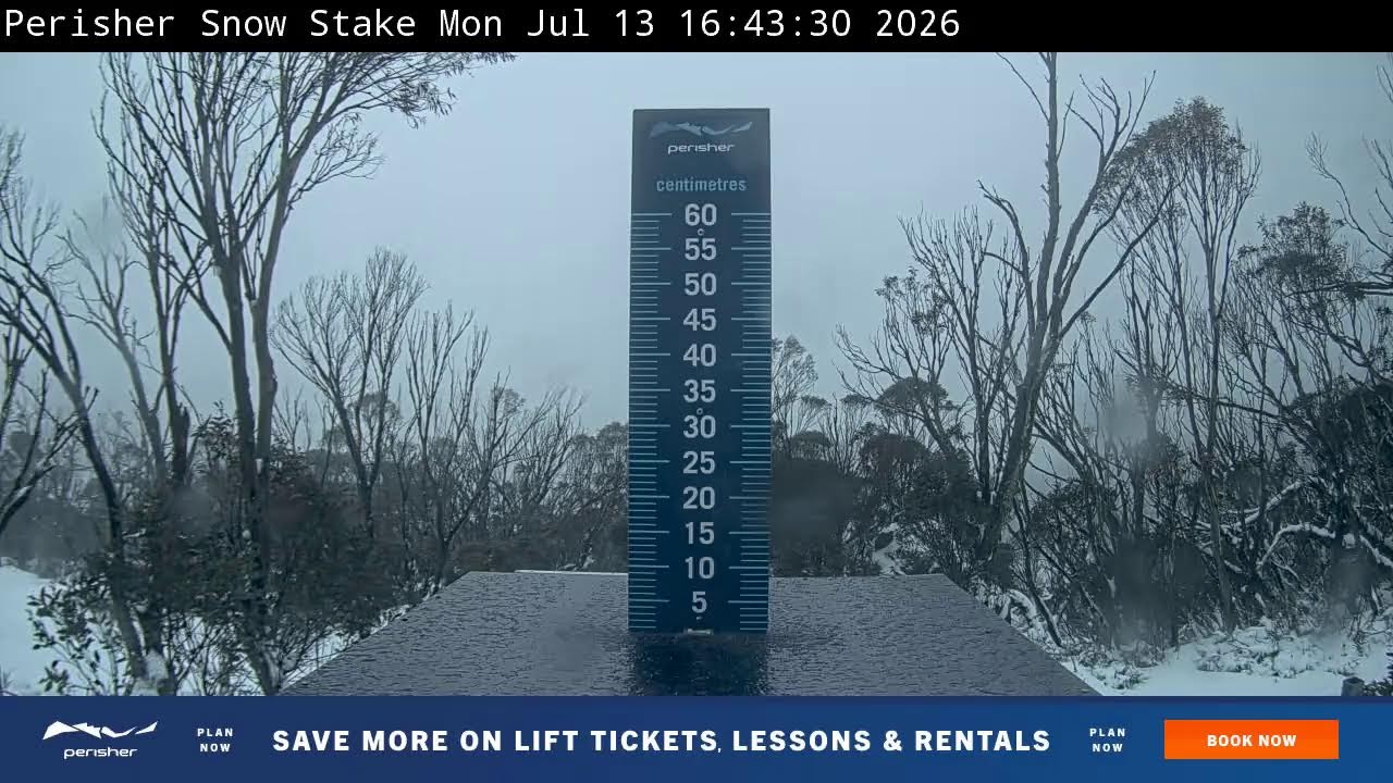 View full-screen Snow Stake Live Cam