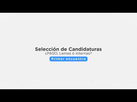Selección de Candidaturas ¿PASO, Lemas ó internas. Primer encuentro
