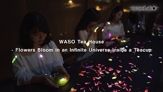 Flowers Bloom in an Infinite Universe inside a Teacup