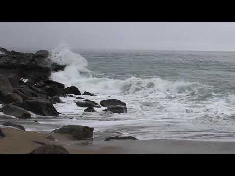 Beach, rocks and pelicans in the distance