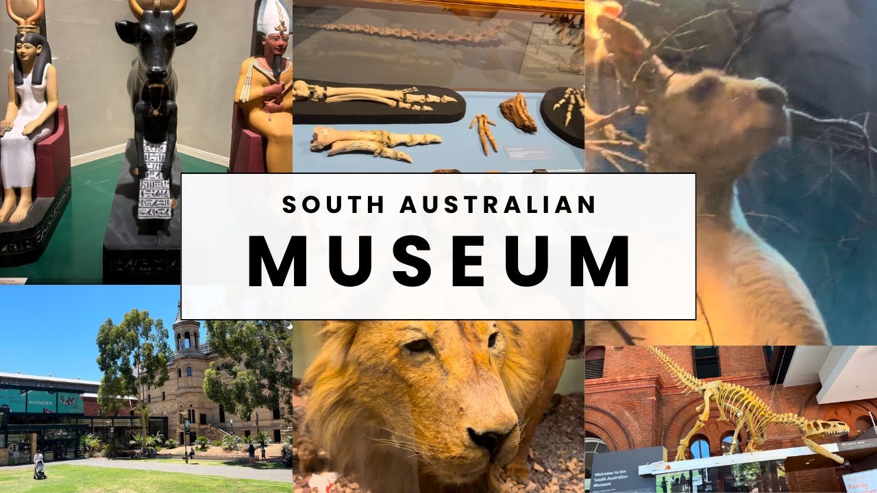 Embark on an immersive walking tour at South Australian Museum.
