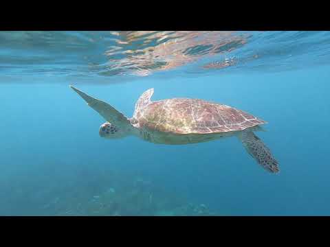 Adaaran Resort Meedhupparu, Maldives