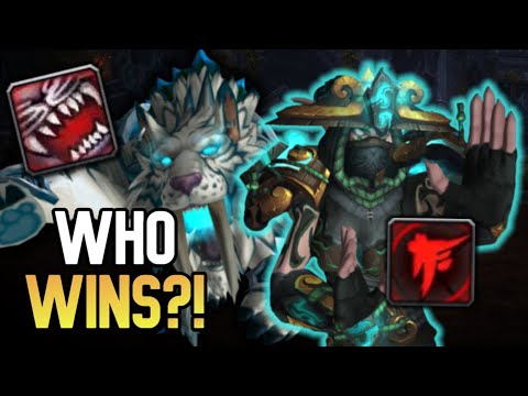 The Battle For Mobility! | Feral Druid Vs WW Monk 1v1 - WoW Duels BFA 8.3