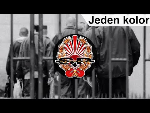 TRANSSEXDISCO - Jeden kolor [OFFICIAL VIDEO]