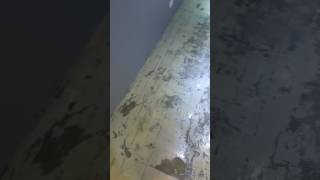 Album cover: "60x60" Polished Porcelain Shop Floor renovation in Golders Green.