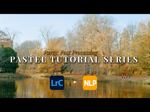 All You Need To Know About POST PROCESSING Film ft. Negative Lab Pro