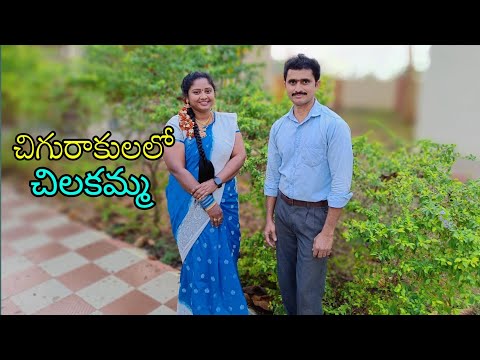 CHIGURAKULALO CHILAKAMMA OLD COVER SONG IN TELUGU || DONGA RAMUDU
