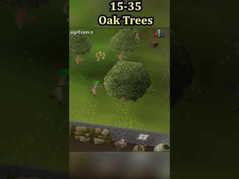 Quick 99 Woodcutting Guide #osrs #shorts