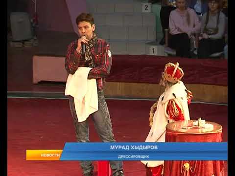 Курский цирк снова запускает зрителей за кулисы.