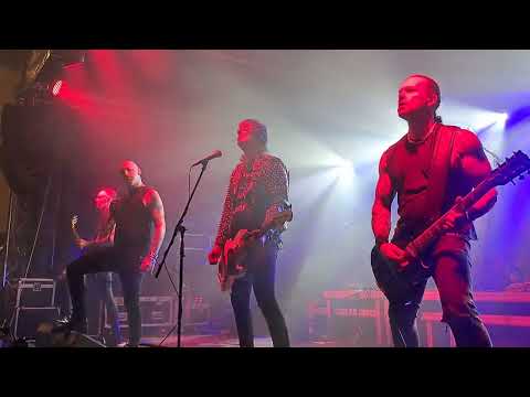 Wolfbrigade - The Wolfman (02.09.2023, Live @ Thunder Fest, Bytów)
