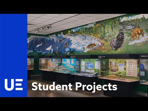 UE Making of – Kooperation mit dem Geologisch-Paläontologischen Museum, Hamburgo