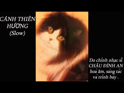 Cành thiên hương - Châu Đình An