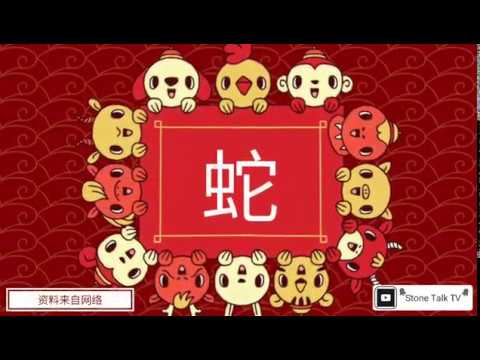 1905年生肖