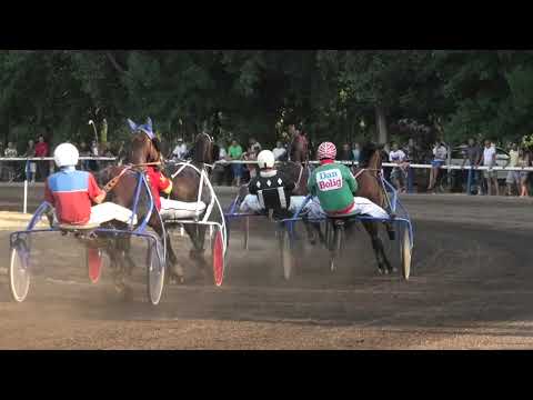 Trka "Petrovdanska trka-II trčanje" 11.07.2021 Iago d'Amore - Andor Vereb