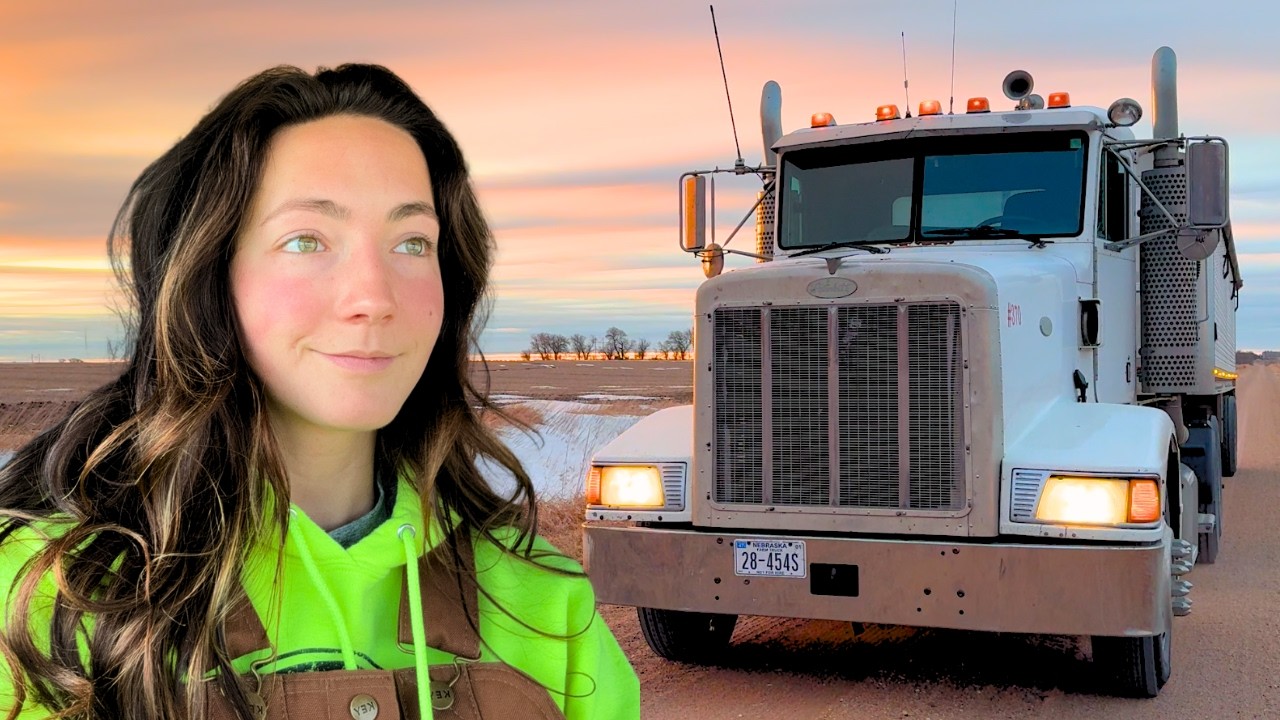 Full Day Earning Money With Cheap Auction Peterbilt