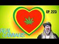 Real Cannabis ep. 223 ft. Strain Show  w/ Chad Westport