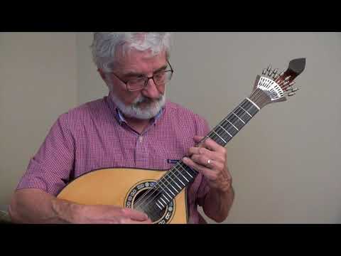 Vazquez Fernandez Portuguese Guitar