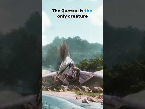 3 THINGS about the Quetzals in ARK : Survival Ascended !