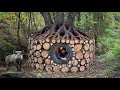 Bau Eines Waldunterstands Aus Baumstämmen Wildschweinangriffe Bei Nacht Bushcraft Survival