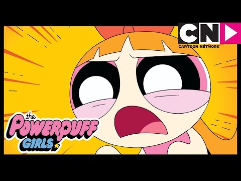 Die Powerpuff Girls | Spinnenalarm | Cartoon Network