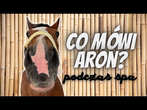 CO MÓWI ARON PODCZAS SPA?💅