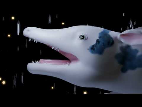 CS463 Final Project Video Thumbnail