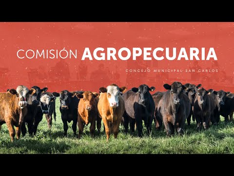Comisión de Asuntos Agropecuarios 08/12/2025 | Concejo Municipal San Carlos