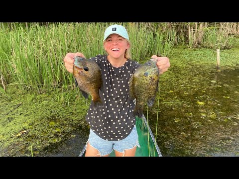 We Found a GIANT Bream Bed LOADED with BIG FISH!!! (JACKPOT)